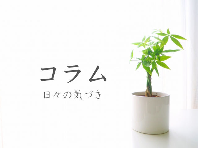 コラム｜日々の気づきと記録